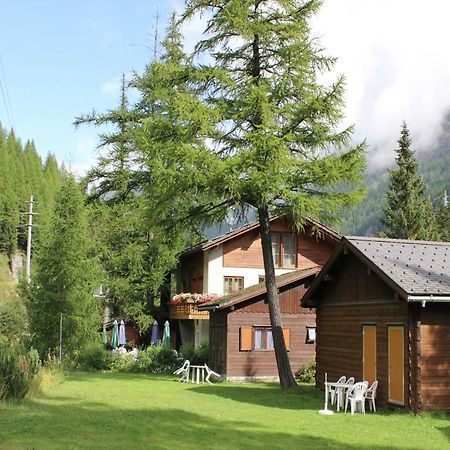 Modern Chalet In Saas Balen With Garden מראה חיצוני תמונה